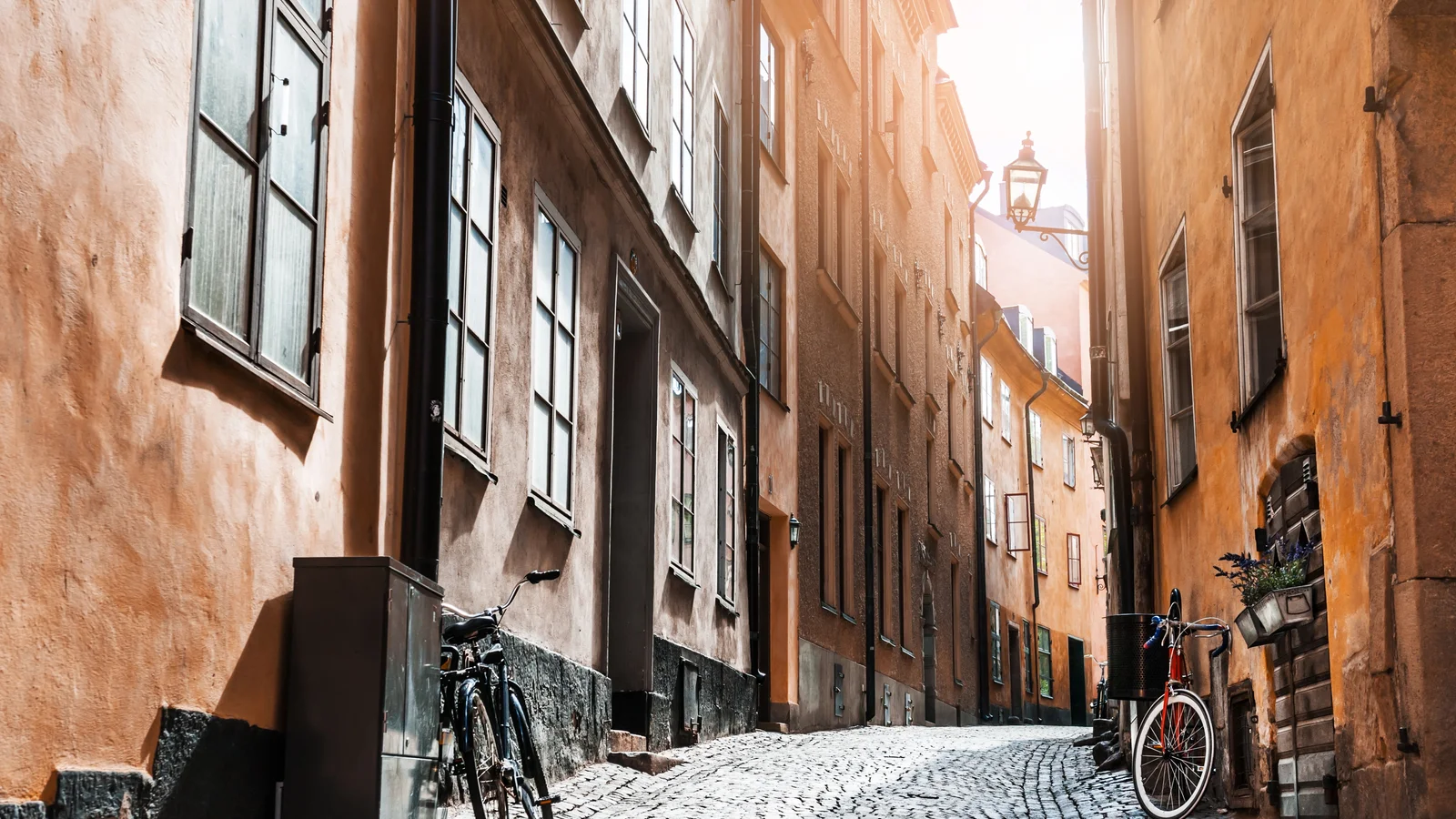 10 skäl att lära sig svenska 2026