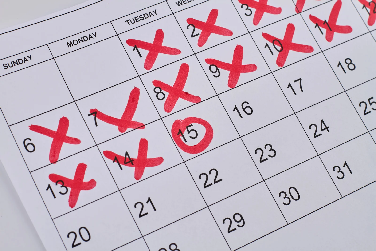 Language learning streaks: asset or anxiety?